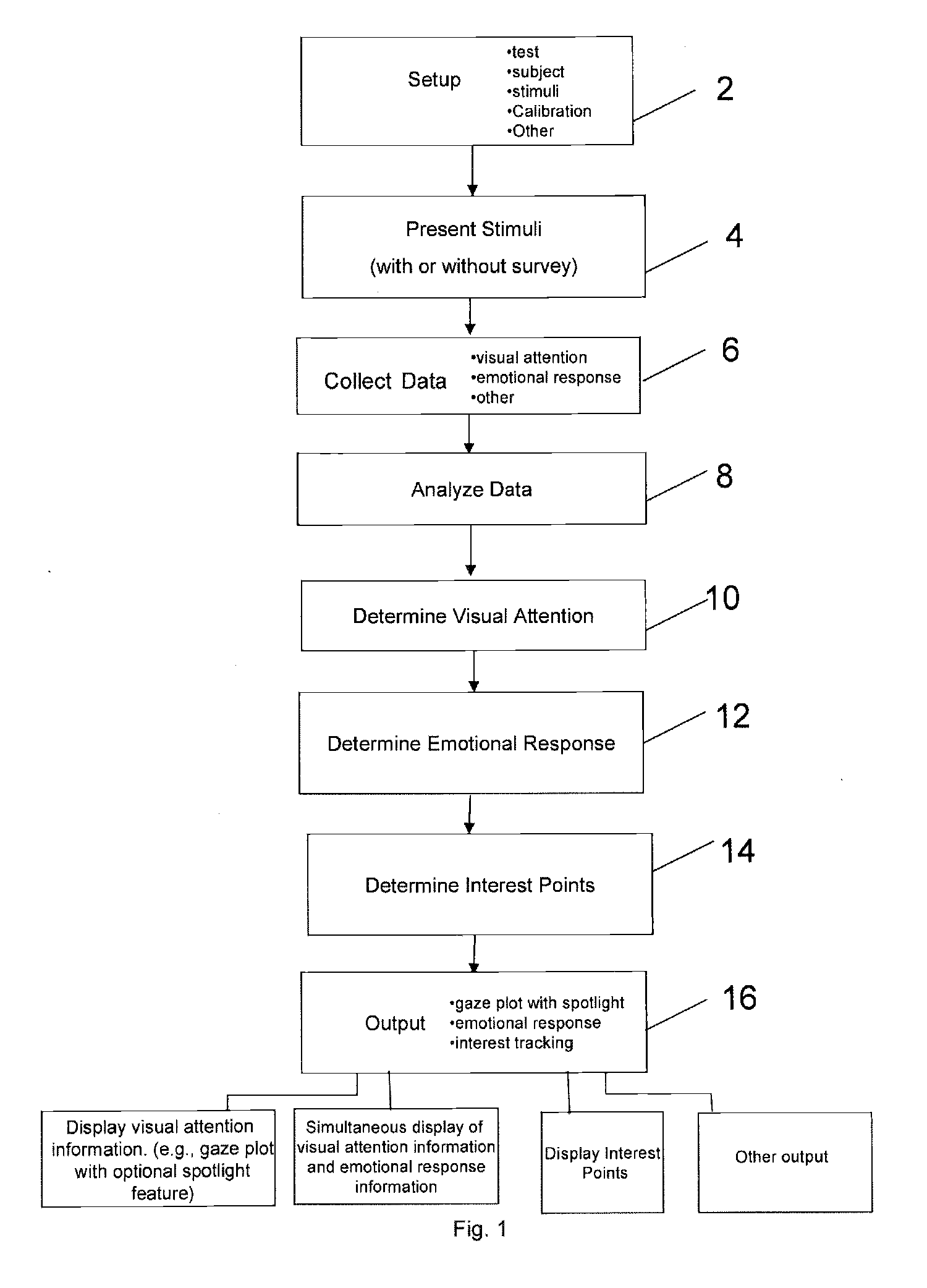 Visual attention and emotional response detection and display system