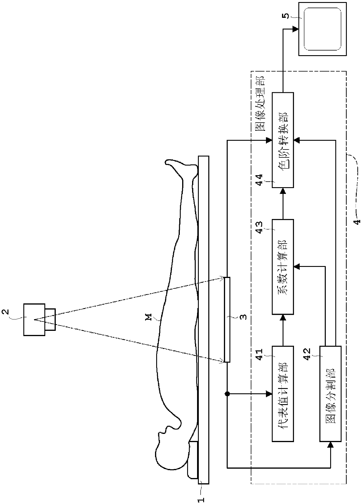 Image processing device and image processing method