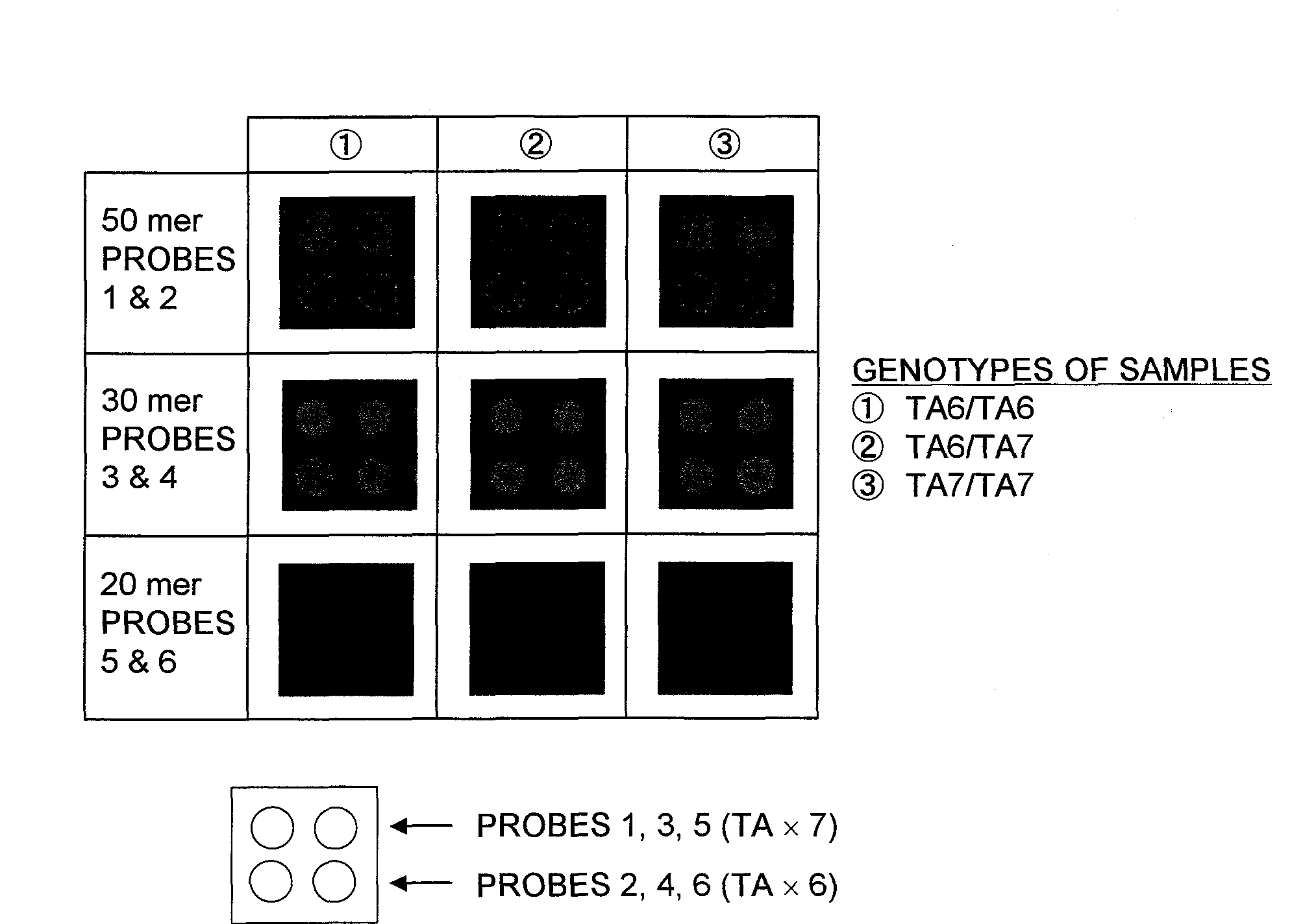 Method for determining risk of adverse effect of irinotecan and kit for it