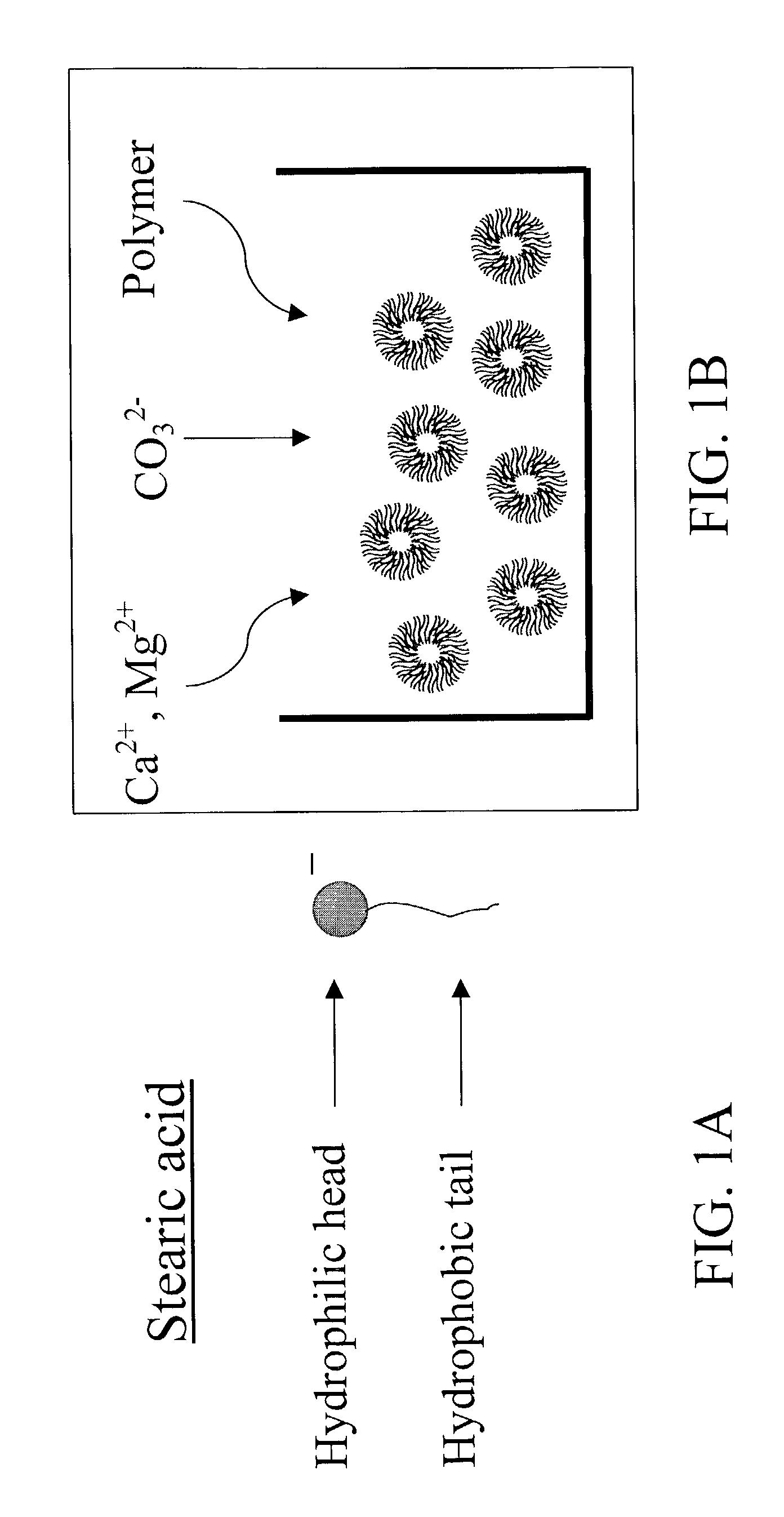 Materials and methods for drug delivery and uptake