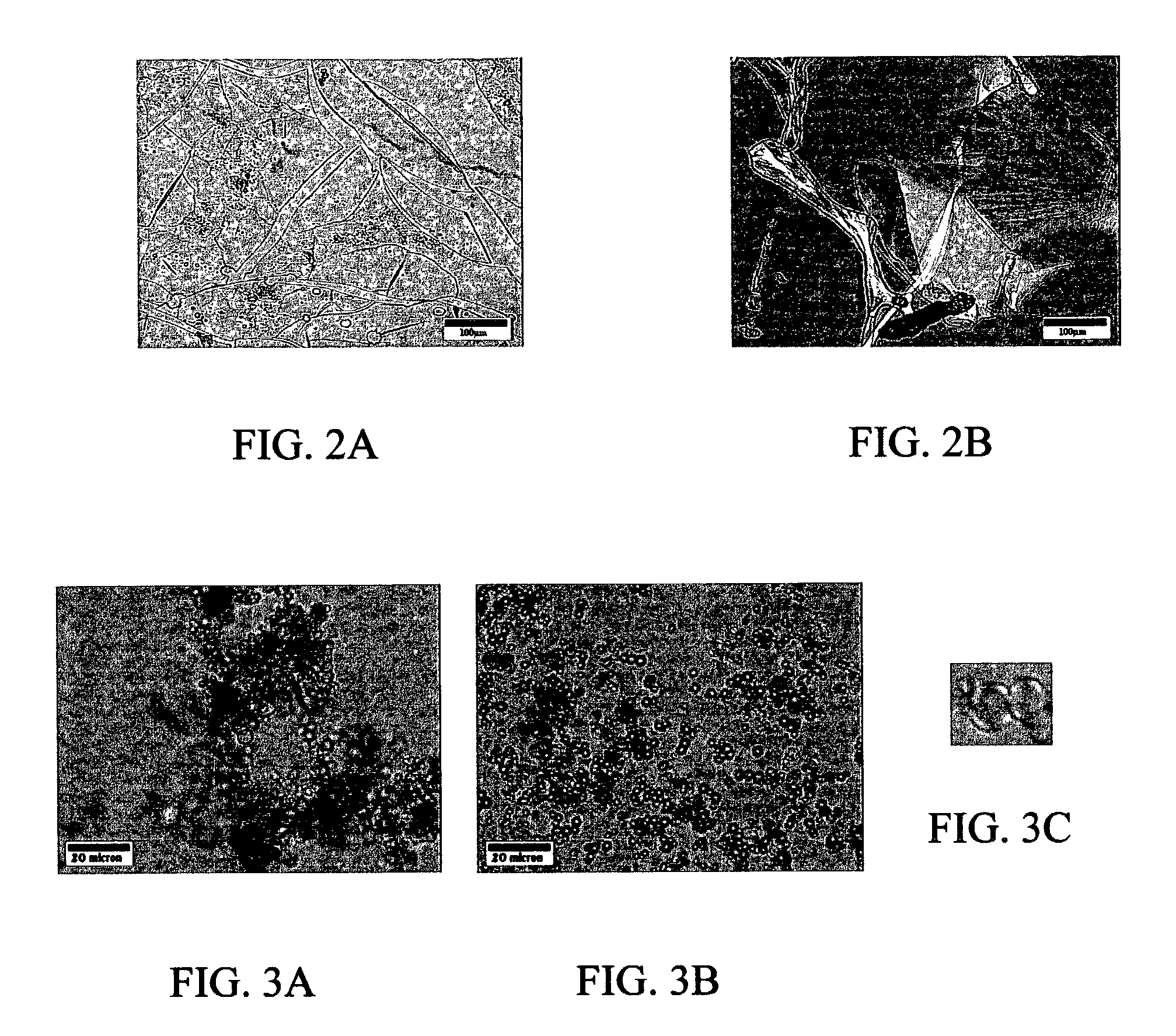 Materials and methods for drug delivery and uptake