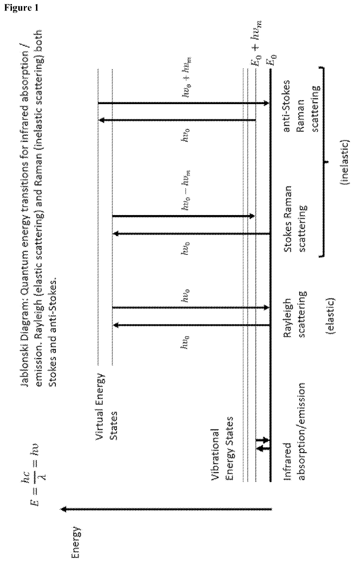 Methods for determining viral titre using raman spectroscopy