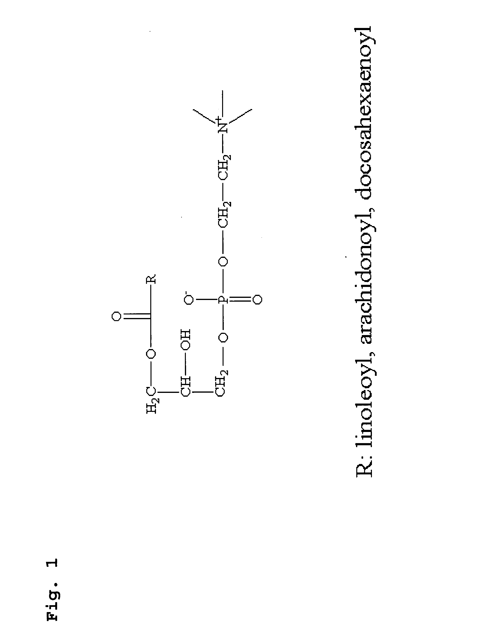 Method for analyzing the activity of lipoxygenase using a water-soluble substrate