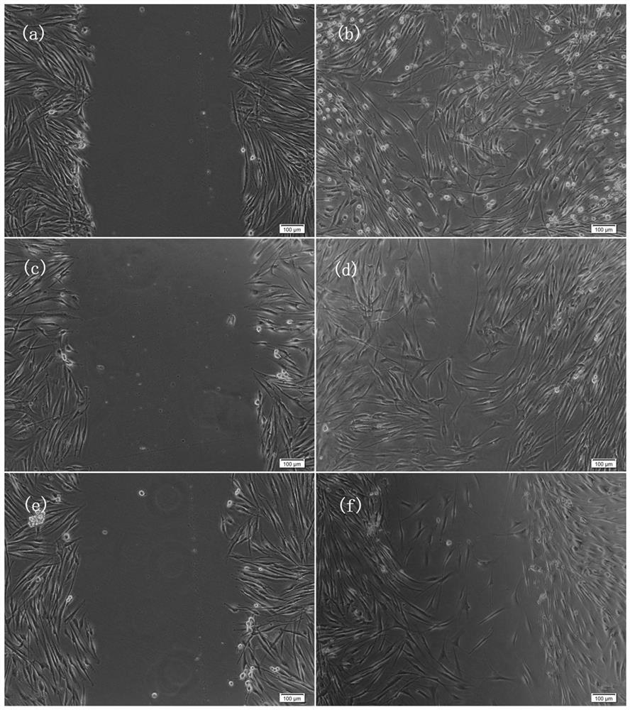 Composition for repairing damaged skin and preparation method thereof