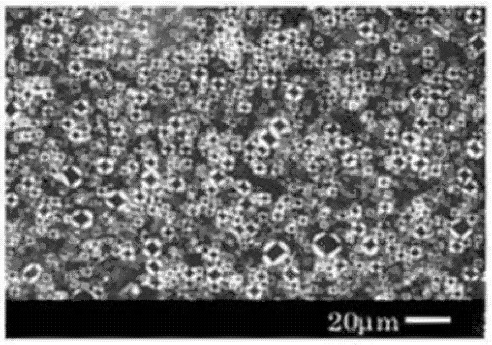 A moisturizing and repairing composition and an epidermis biomimetic membrane liquid crystal complex constructed therefrom