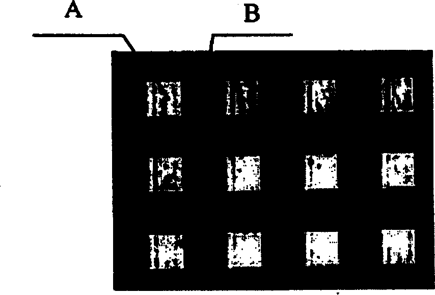 Double-layer CD reading head based on phase turnover