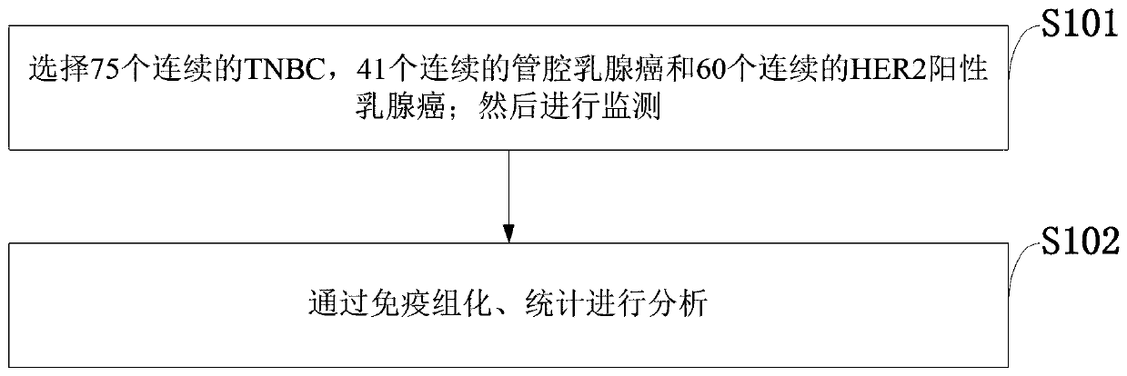 Establishment method of CXCR4 targeted drug treatment triple negative breast cancer platform