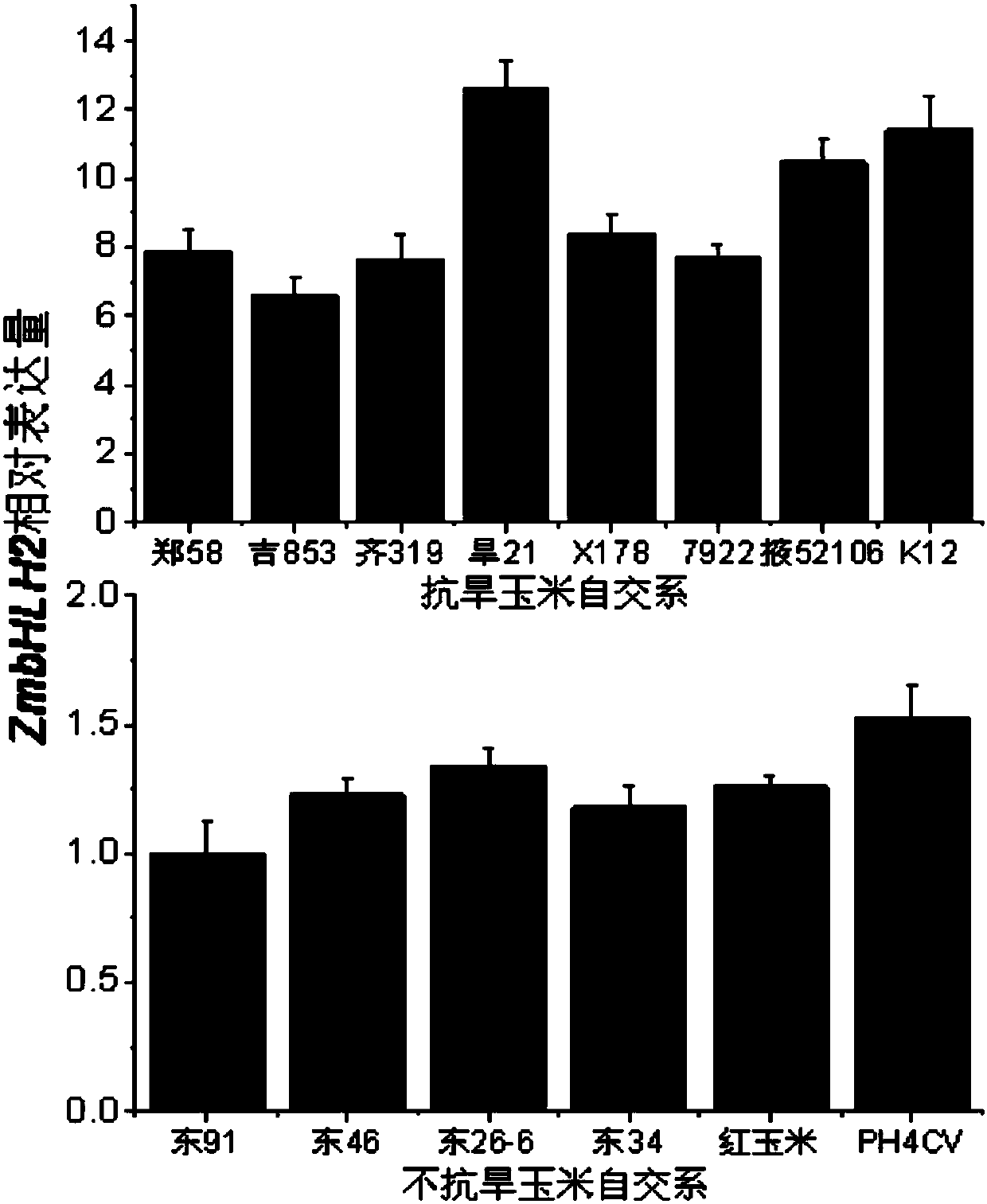 Maize transcription factor zmbhlh2 and its application