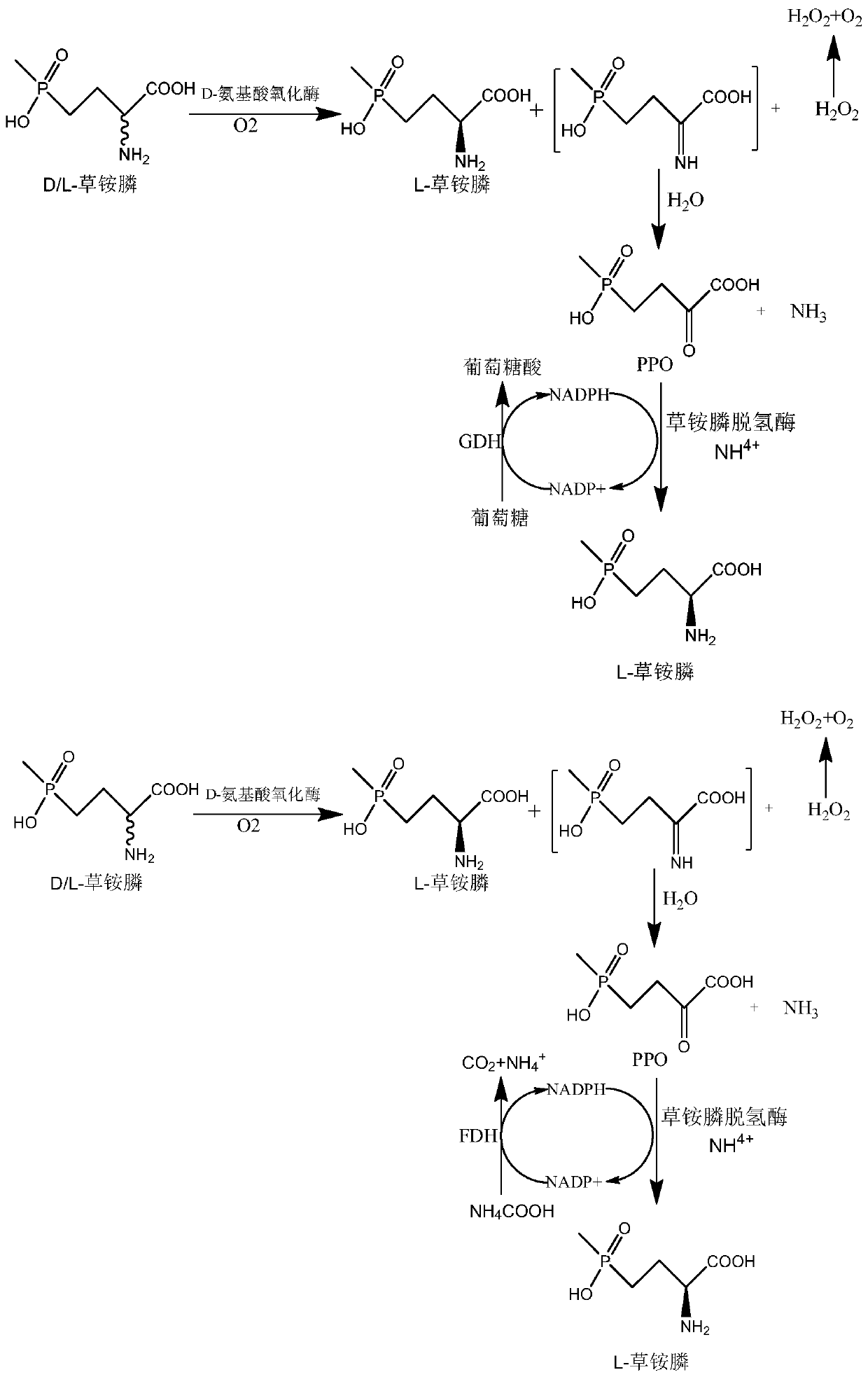 Recombinant glufosinate-ammonium dehydrogenase, genetically engineered bacterium and application of recombinant glufosinate-ammonium dehydrogenase in preparation of L-glufosinate-ammonium