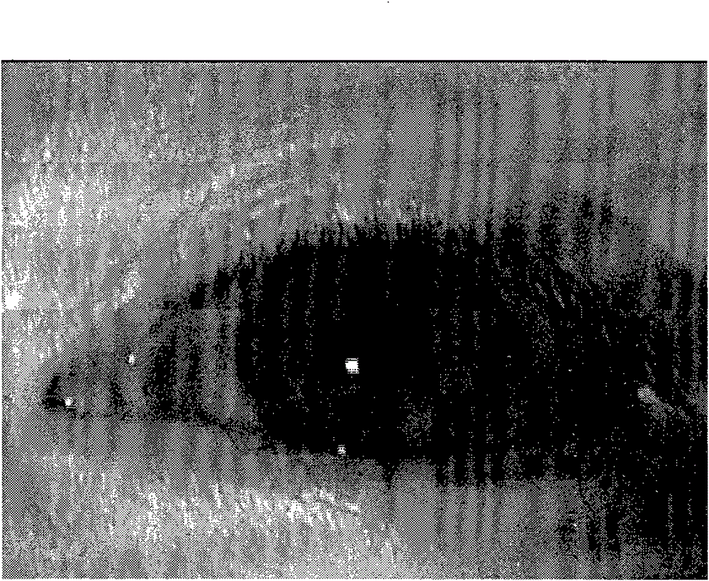 Method for distinguishing false iris images based on robust texture features and machine learning