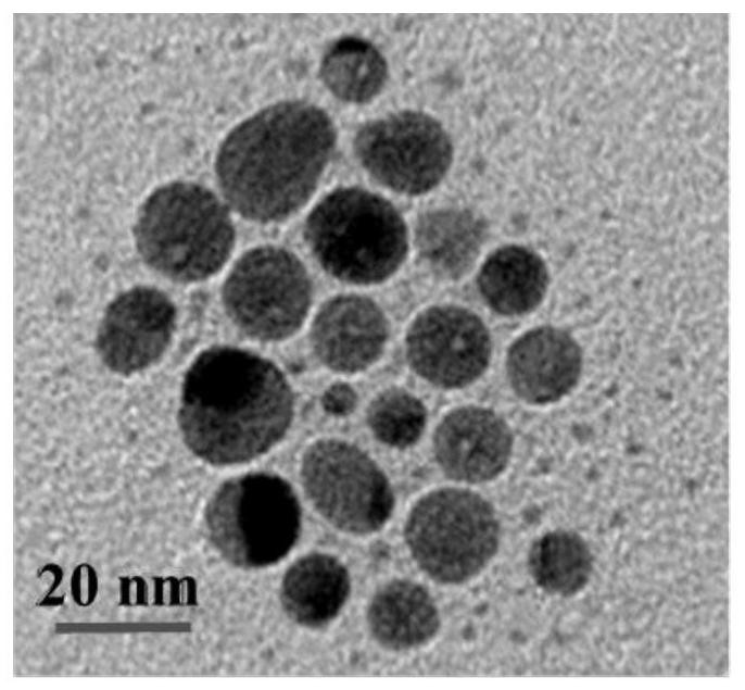 A kind of antitumor composition and application thereof based on nano silver material