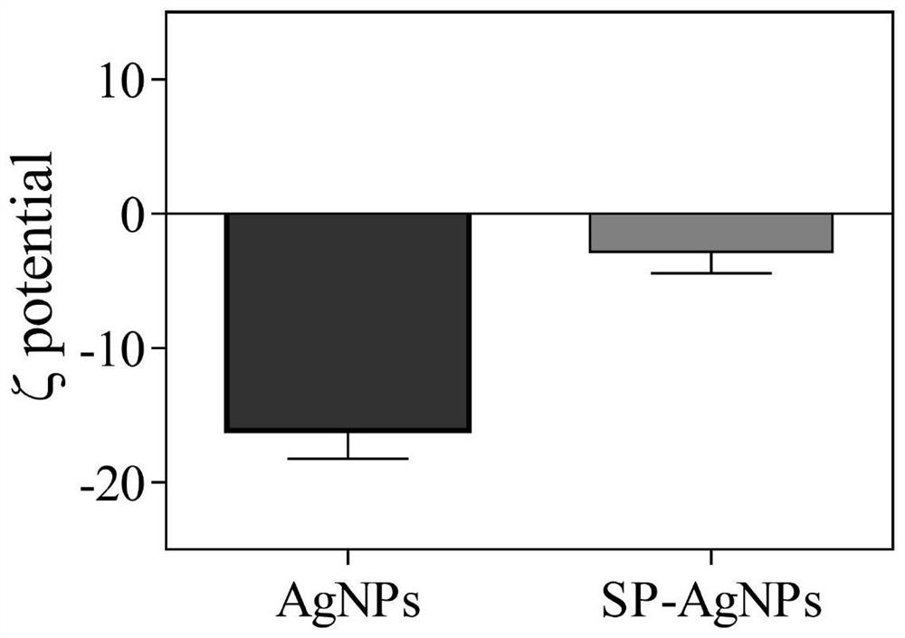 A kind of antitumor composition and application thereof based on nano silver material