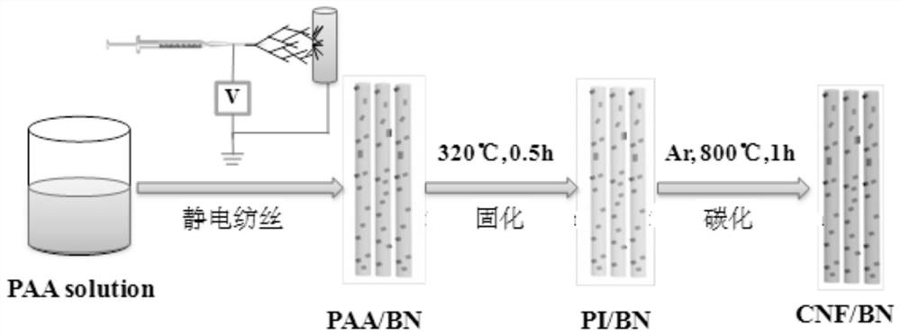 A carbon fiber/boron nitride flexible composite electrode and its preparation method and application