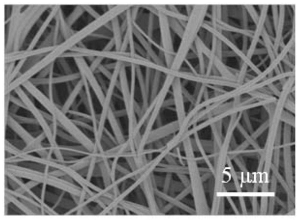 A carbon fiber/boron nitride flexible composite electrode and its preparation method and application