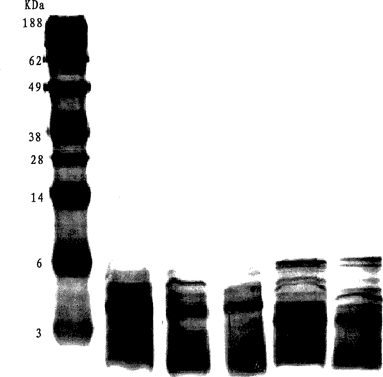 Composite for treating cancer containing oligonucleotide and nontoxic LPS