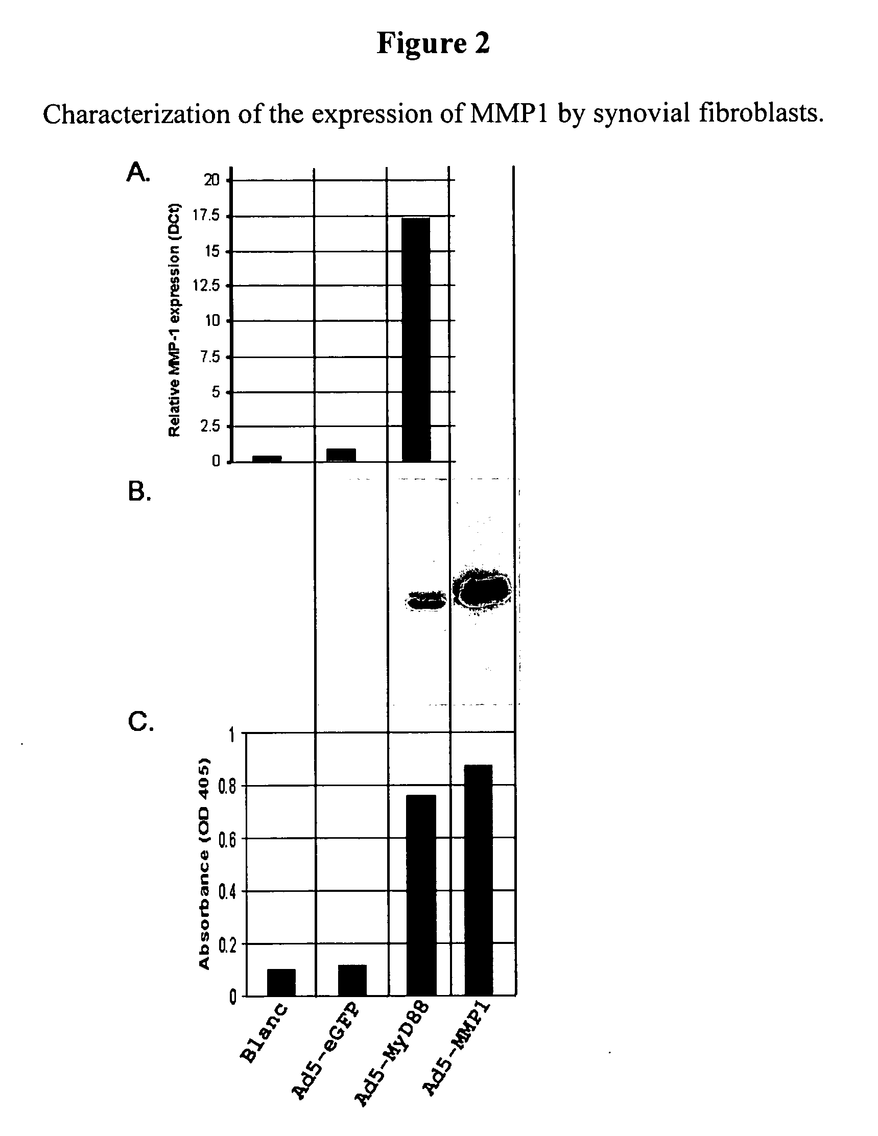 Molecular targets and compounds, and methods to identify the same, useful in the treatment of joint degenerative and inflammatory diseases