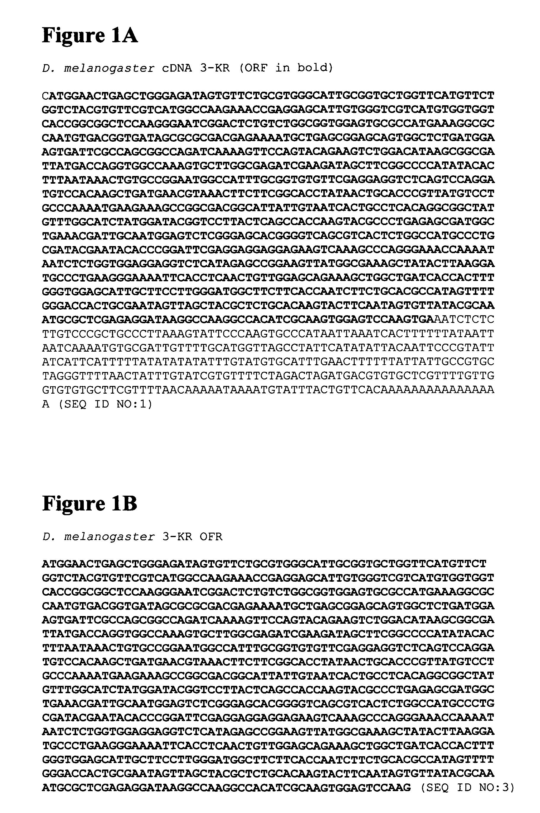 Polynucleotides encoding insect 3-ketosphinganine reductase and uses thereof