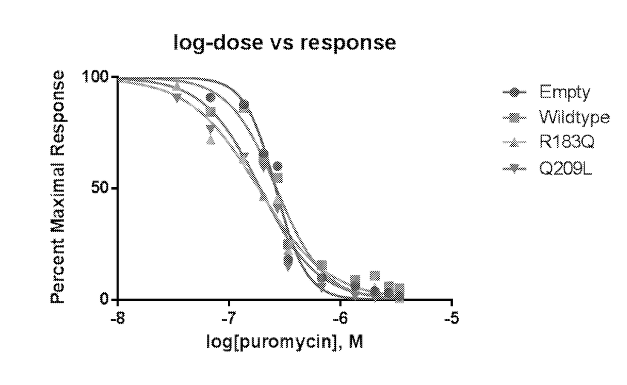 Compositions and methods for treating vascular malformation and related conditions