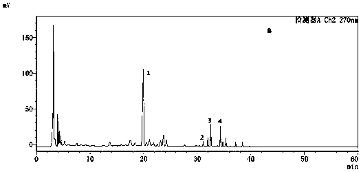 Detection method of traditional Chinese medicine composition for treating chronic pharyngitis