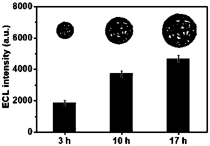 Preparation method of DNA nanowire cluster loaded with phenanthroline ruthenium