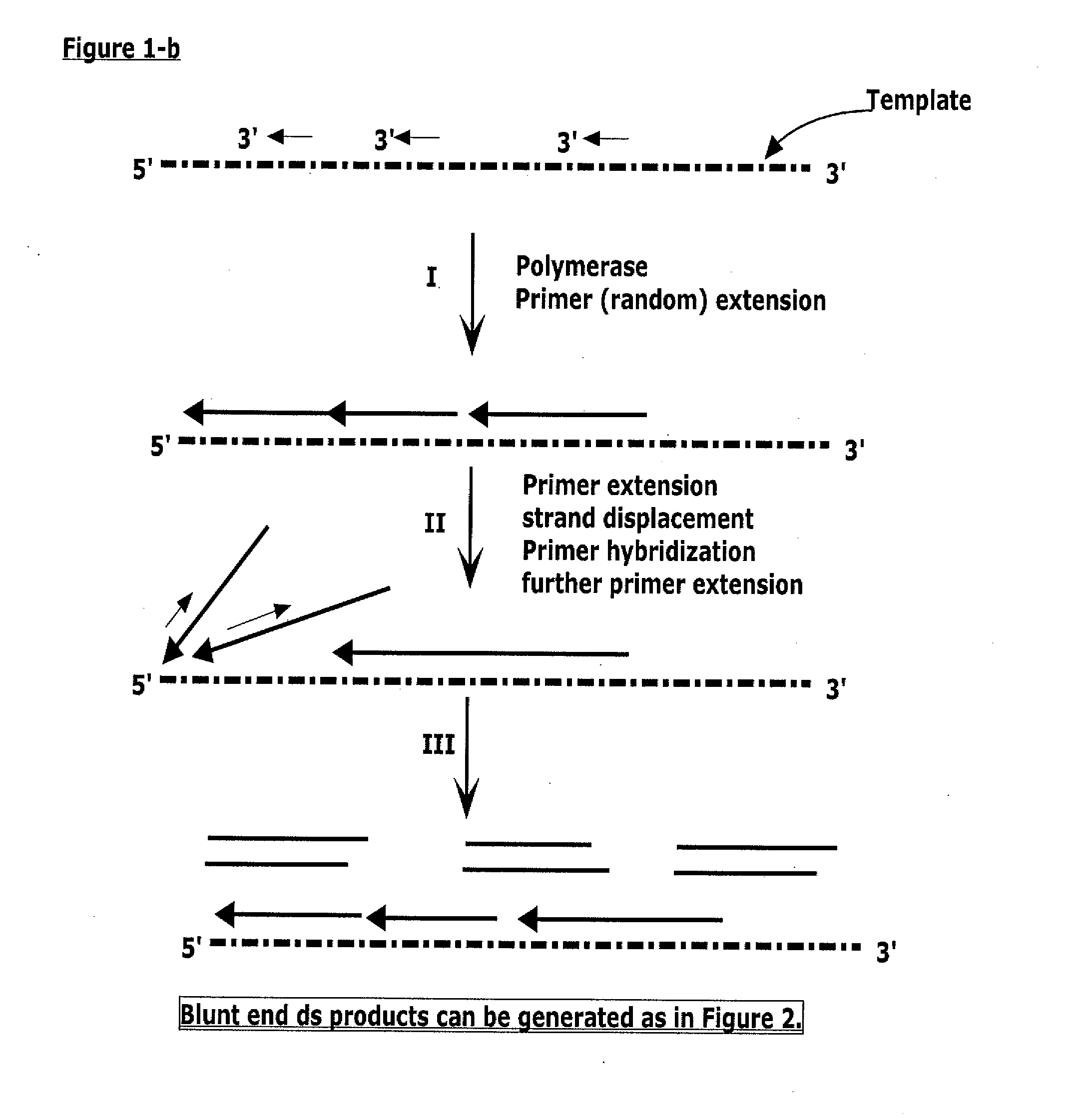 Methods, compositions, and kits for generating nucleic acid products substantially free of template nucleic acid