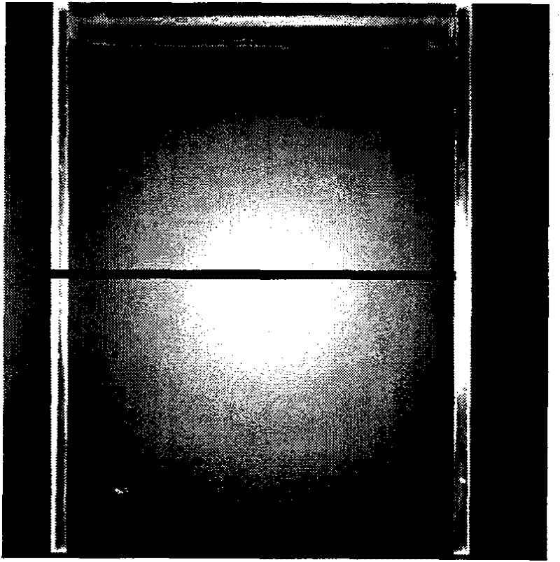 Fluorescent molecular tomography method suitable for small animals