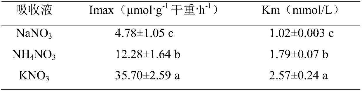 Method for evaluating nitrate ion absorption kinetics of Acorus gramineus