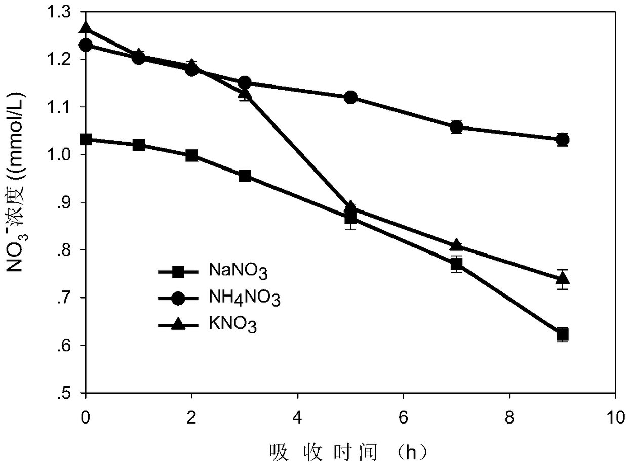 Method for evaluating nitrate ion absorption kinetics of Acorus gramineus