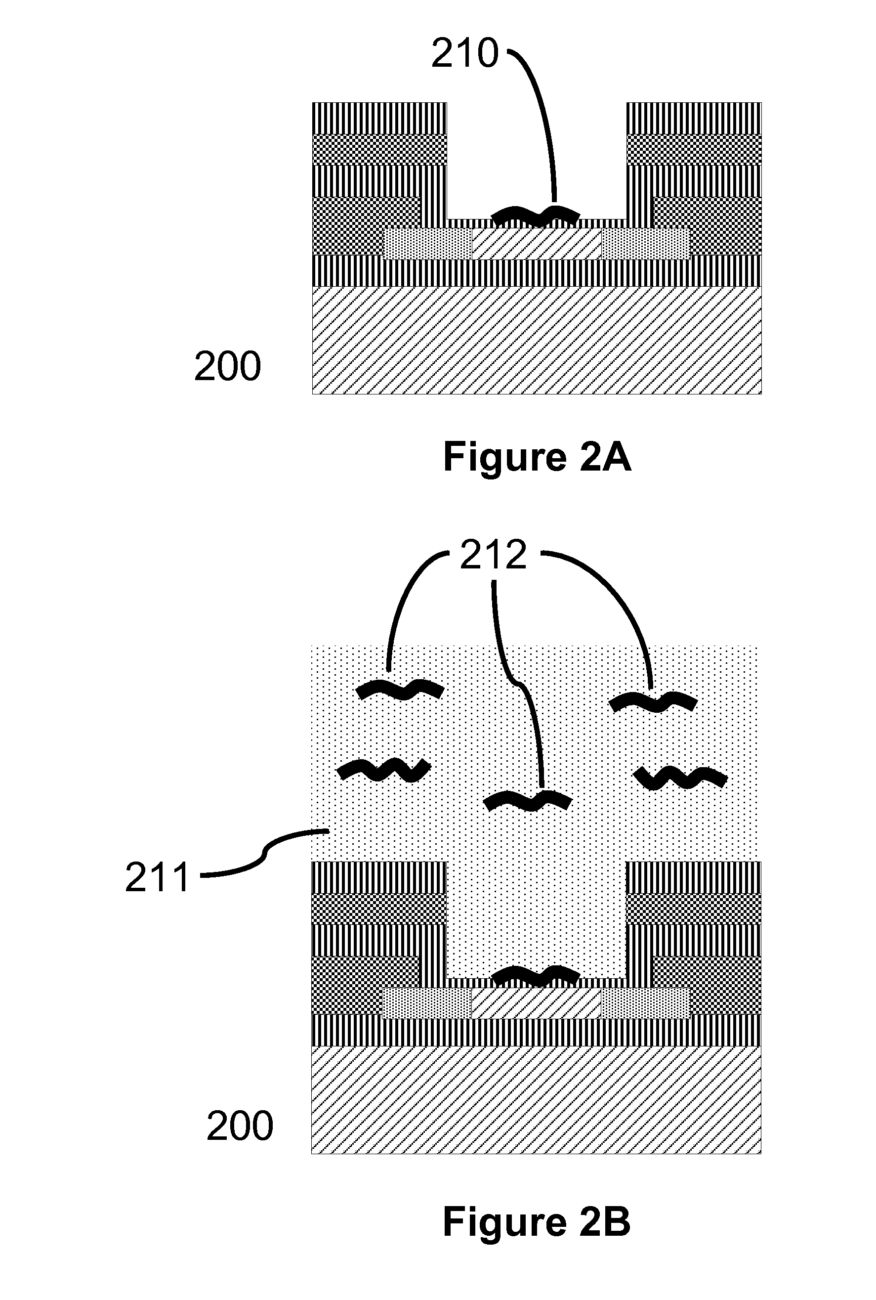 DNA Sequencing and Amplification Systems Using Nanoscale Field Effect Sensor Arrays