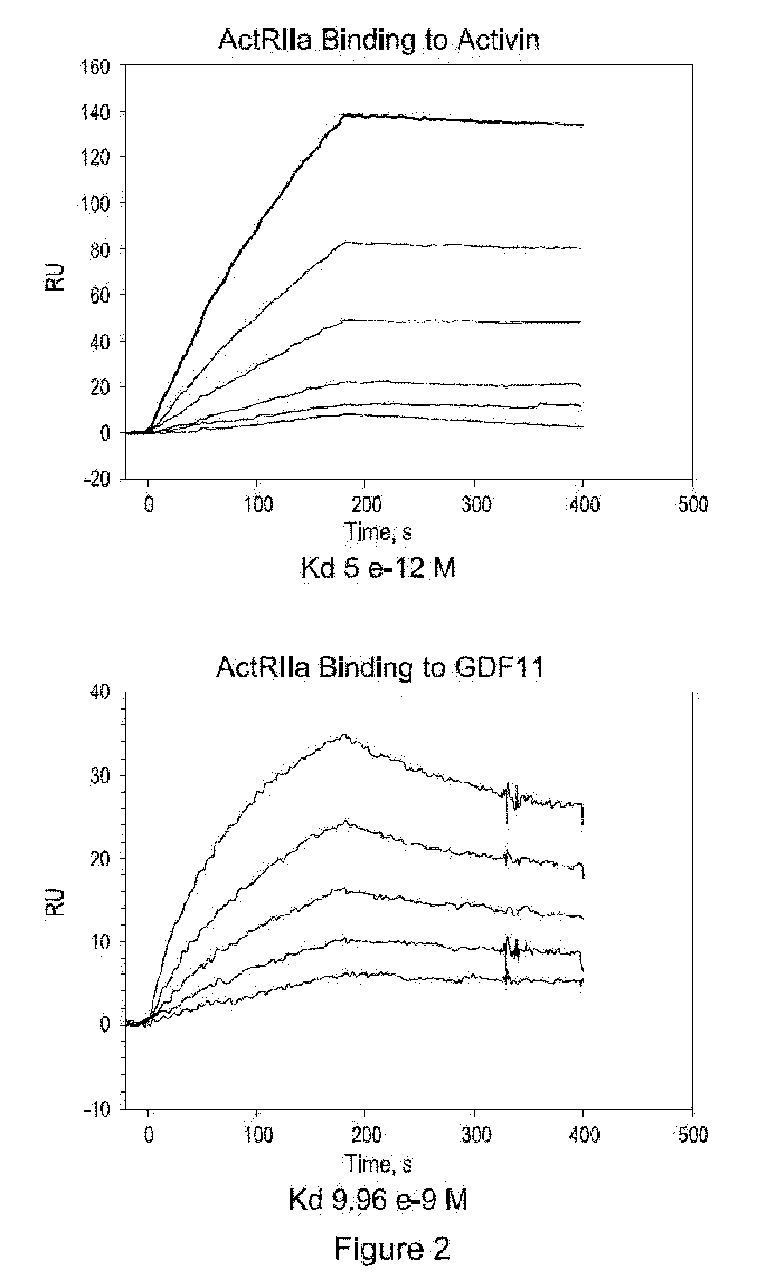 Methods for dosing an activin-actriia antagonist and monitoring of treated patients