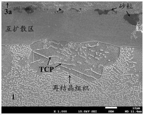 Thermal barrier coating for single crystal superalloy thermal protection and preparation method thereof