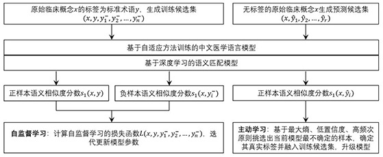 Medical term automatic standardization system and method integrating self-supervision and active learning