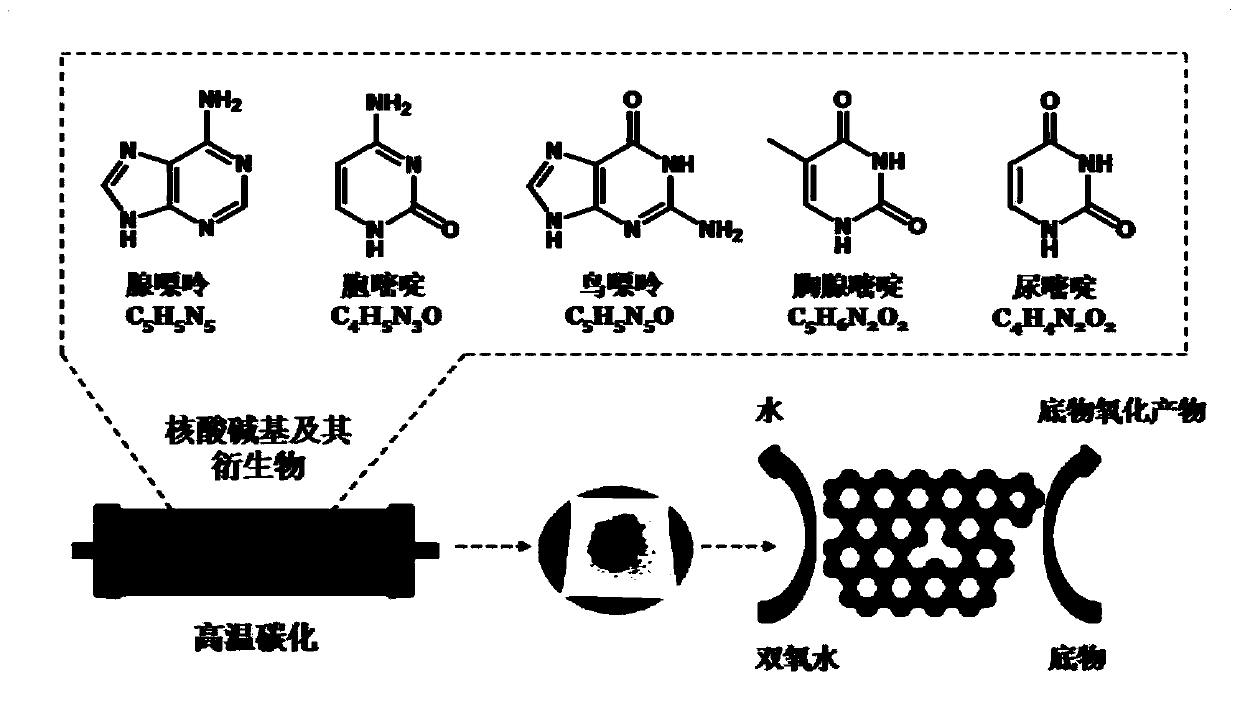 Nitrogen-doped carbon material nano-enzyme based on nucleic acid bases or nucleic acid derivatives and preparation method and application of nano-enzyme