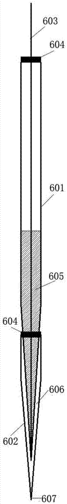 Separate N2O selective microelectrode and preparation method thereof