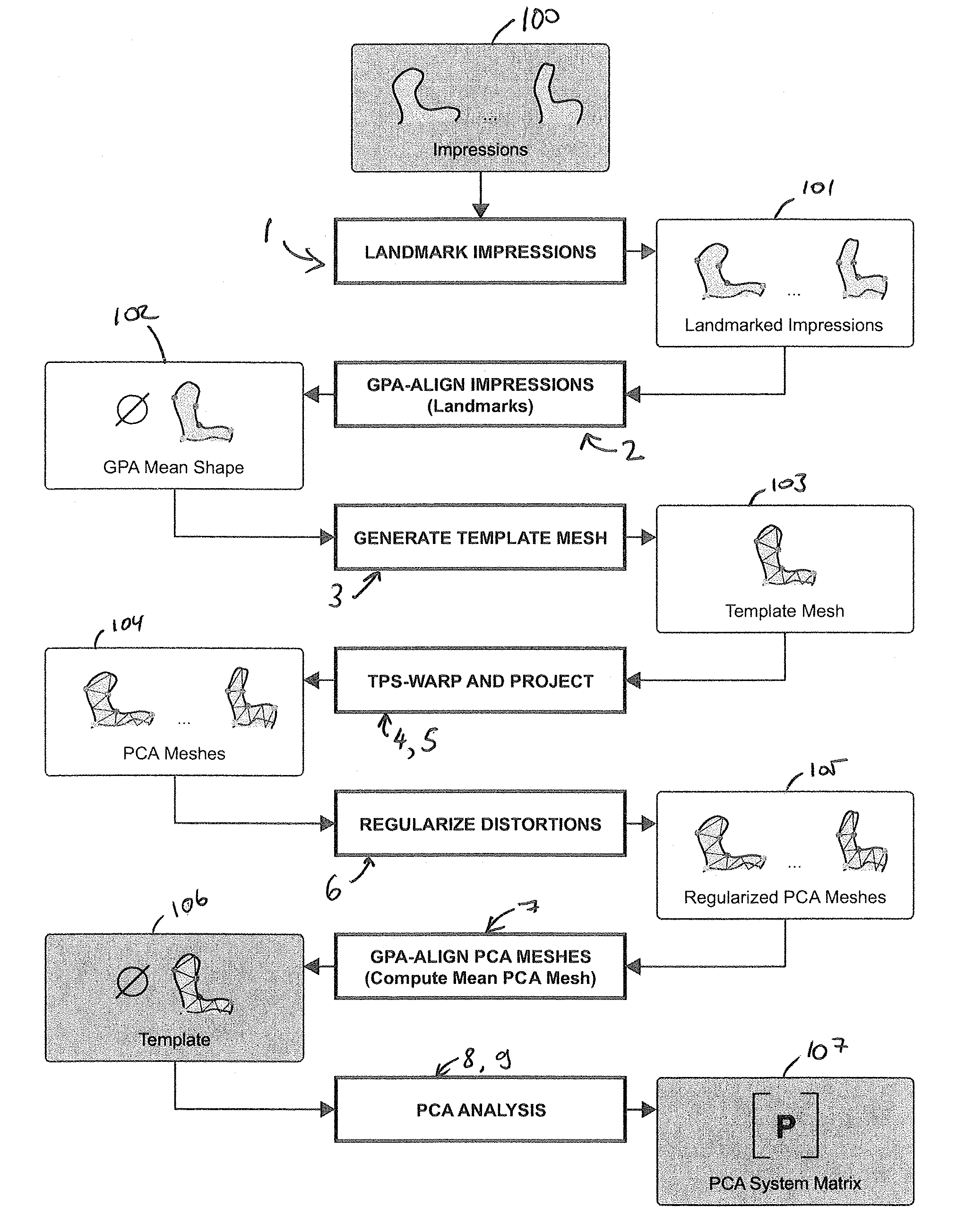 Method for estimating the shape of an individual ear