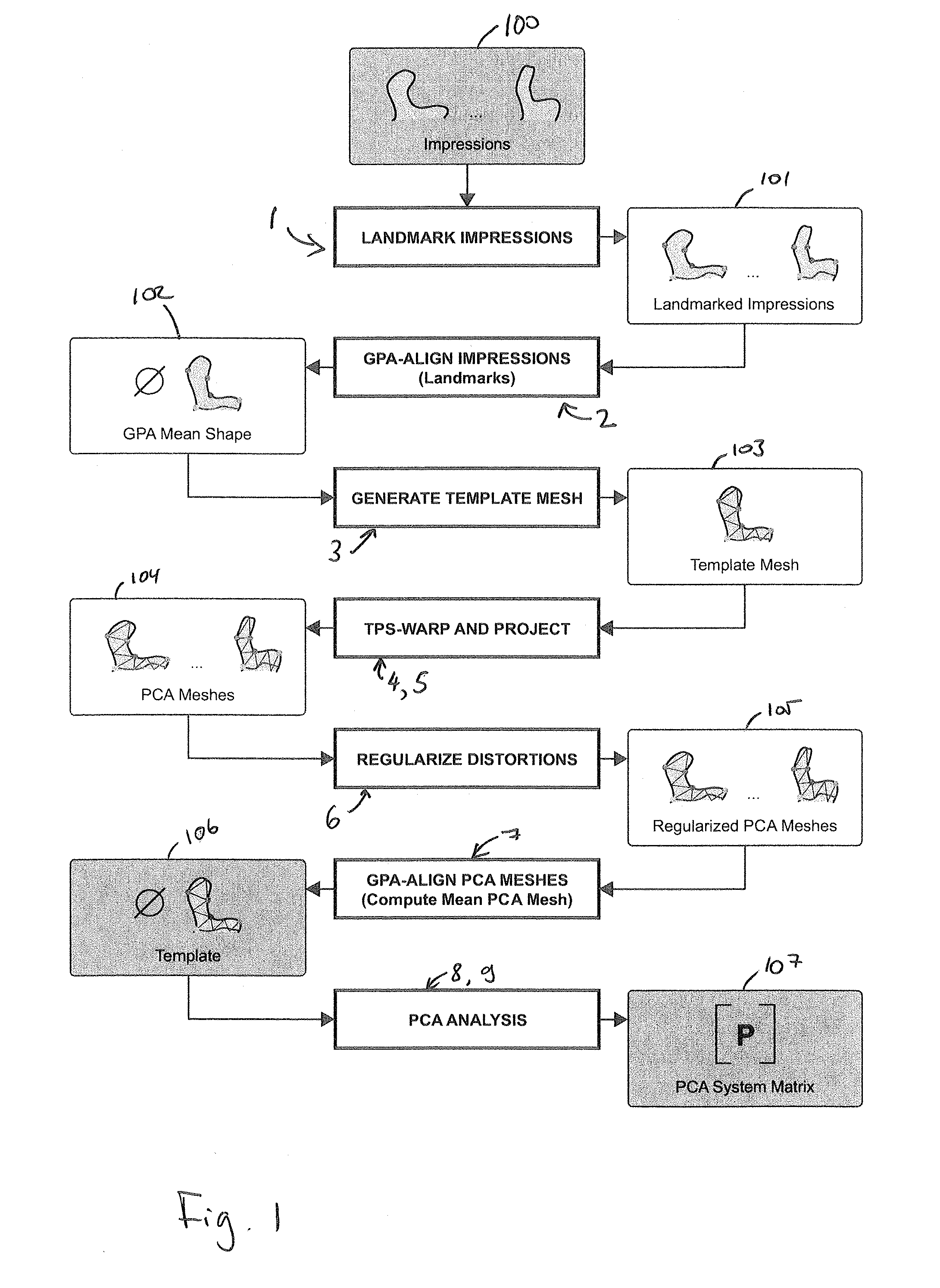 Method for estimating the shape of an individual ear