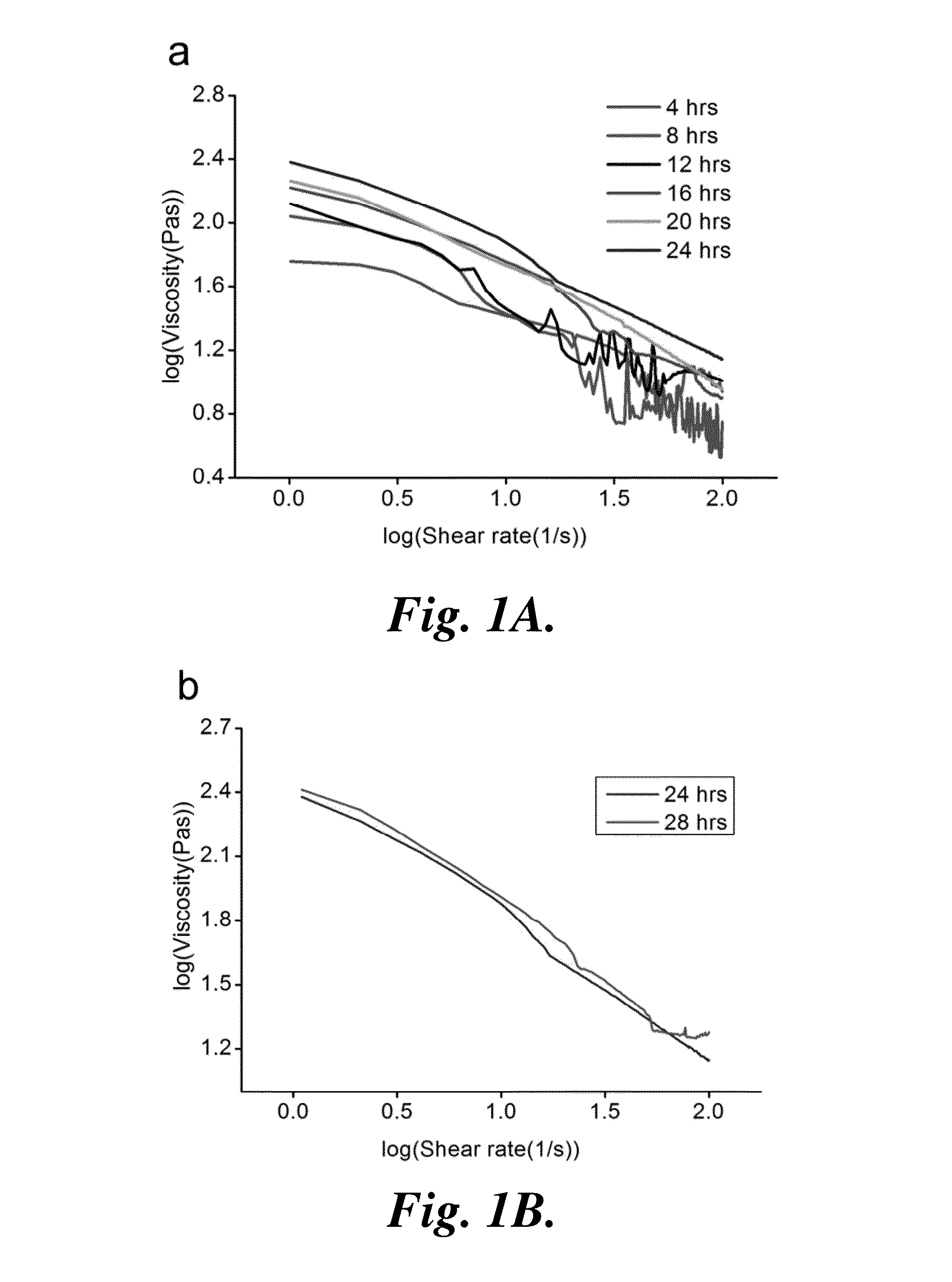 Porous chitosan scaffolds and related methods