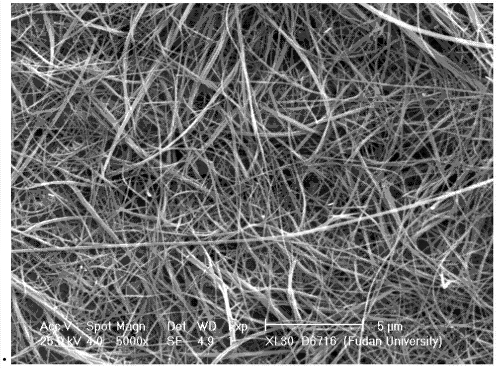 Method for manufacturing nano silver wire