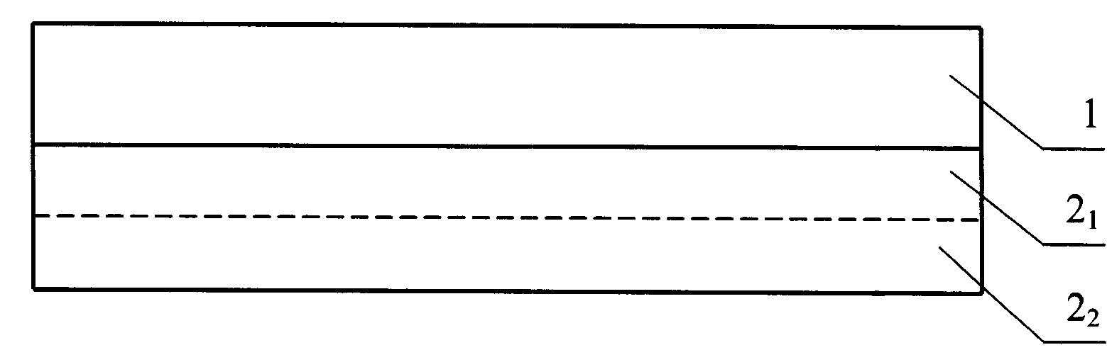 Stereo photo material coating, substrate-free stereo photo material and its manufacture method