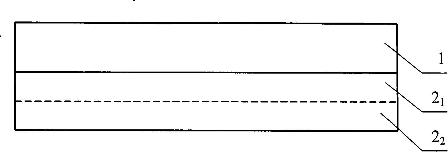 Stereo photo material coating, substrate-free stereo photo material and its manufacture method