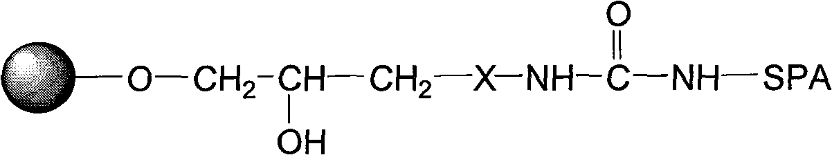 Blood purifying protein A immunoadsorption material and synthesizing method thereof