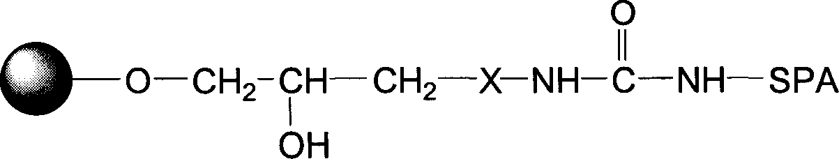 Blood purifying protein A immunoadsorption material and synthesizing method thereof