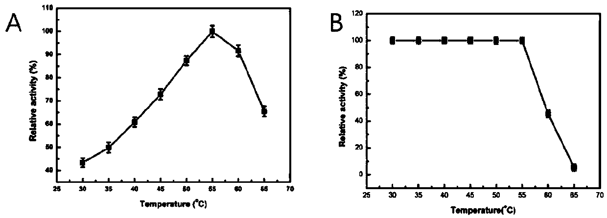 Screening method and application of high efficiency endoxylanase producing strain