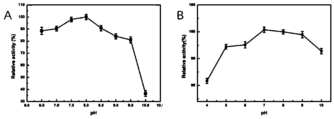 Screening method and application of high efficiency endoxylanase producing strain