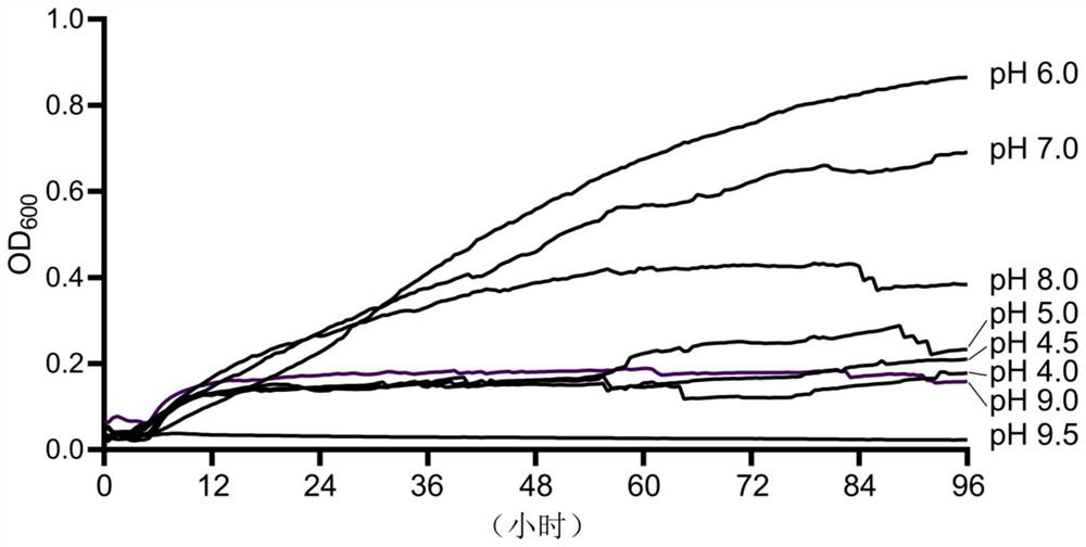 Sinorhizobium sp. strain with phosphorus-dissolving capacity and application thereof