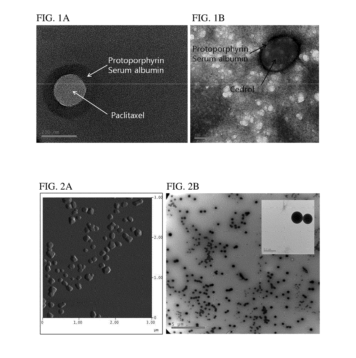 Targeting-enhanced anticancer nanoparticles and preparation methods of same