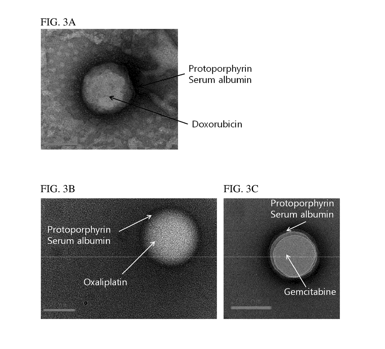 Targeting-enhanced anticancer nanoparticles and preparation methods of same