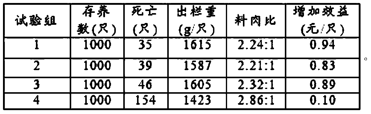 Broiler chicken feed additive