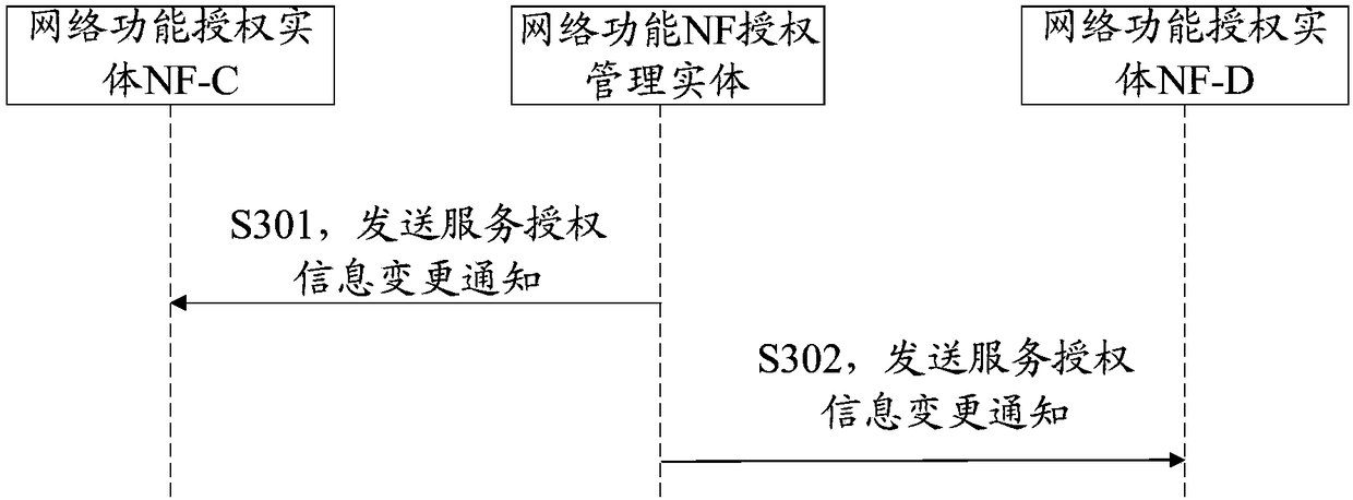 Network function authorization and device, readable storage medium and entity equipment