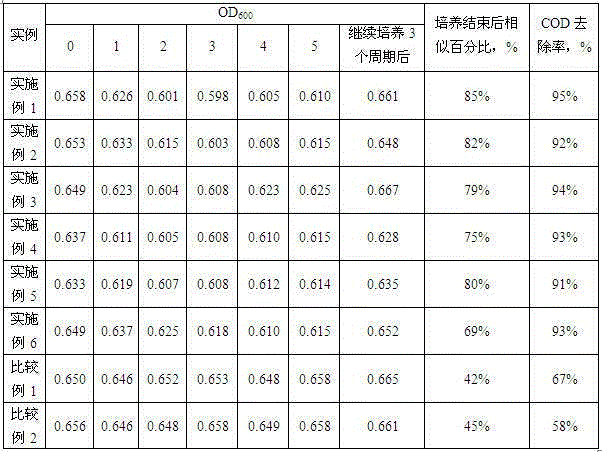 Open culture method and application of pseudomonas stutzeri FSTB-5